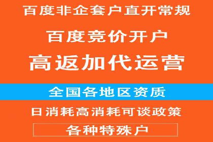 百度竞价赚钱的五大经典案例揭秘